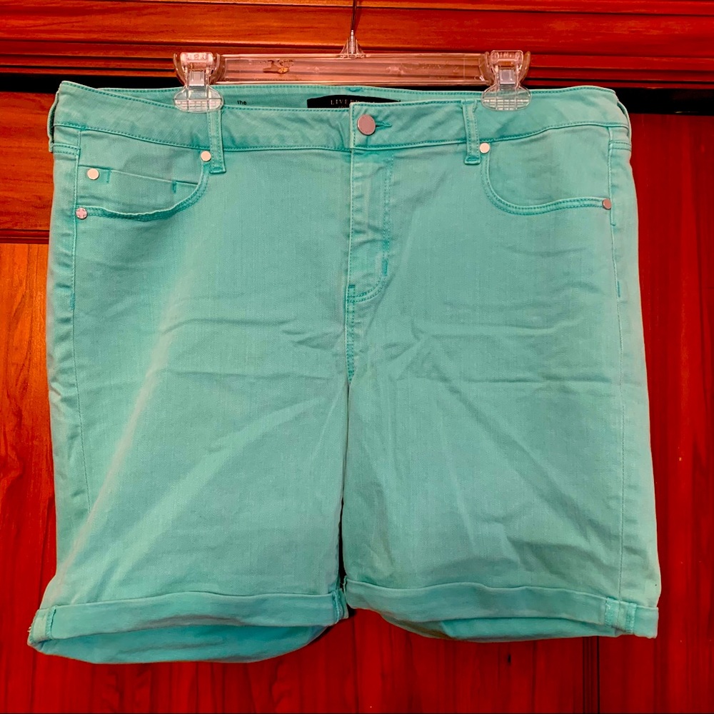 Sea foam green shorts